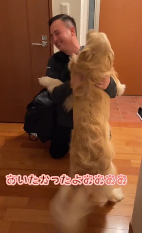 落ち着くテロップ