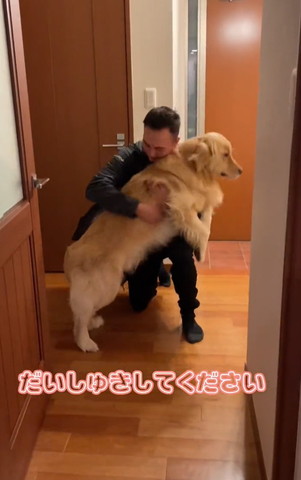 だいしゅきしてくださいテロップ