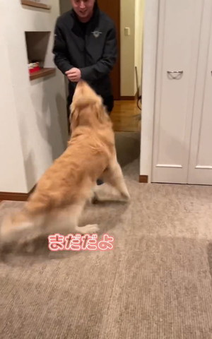 まだだよテロップ