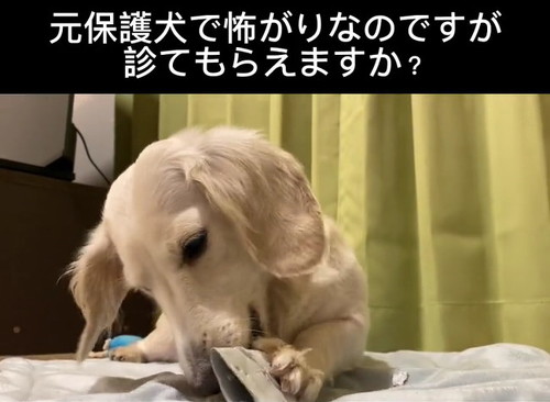 診てもらえますか