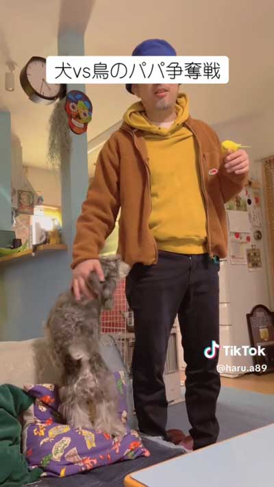 かけよるワンコ