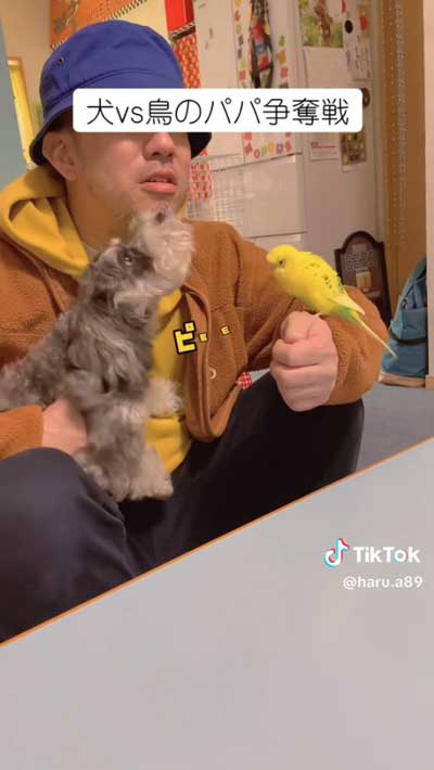 争奪戦スタート