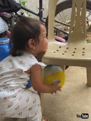 「Toddler Struggles to Retrieve Ball || ViralHog」