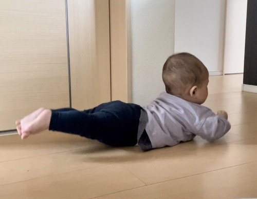背筋トレーニングをする赤ちゃん