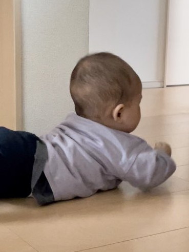 背筋トレーニングをする赤ちゃん