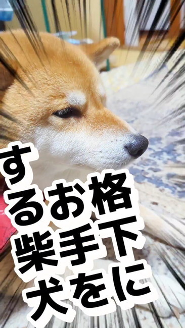 オススメ