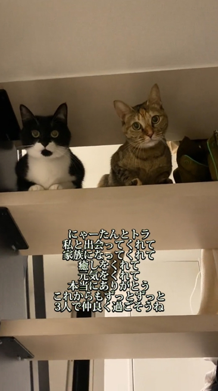 家族になってくれて