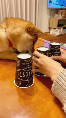 視線がはずれる犬