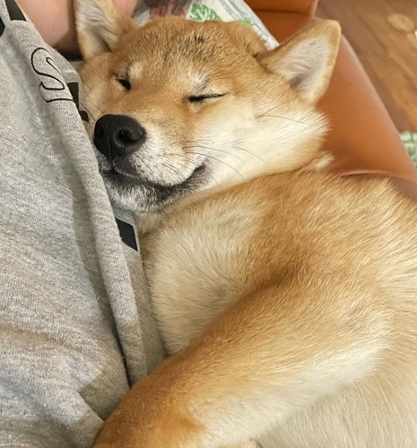 甘えん坊なおとちゃん