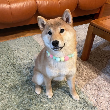 おしゃれなおとちゃん