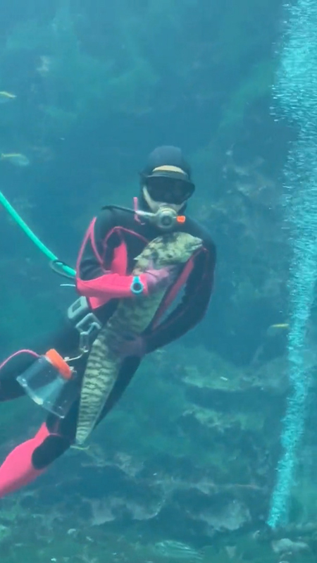 センターにダイバーさん