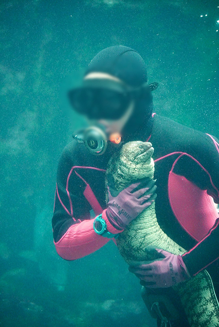 抱きかかえられているウツボ