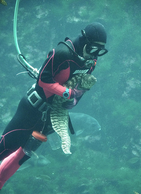 ウツボを抱えて泳ぐダイバーさん