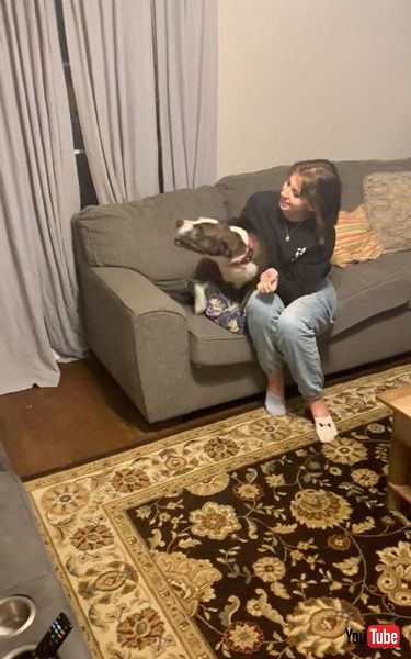 海外派遣から帰ってきた飼い主と再会したワンコ