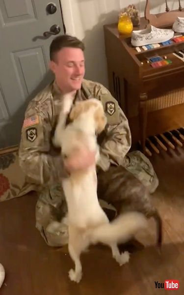 海外派遣から帰ってきた飼い主と再会したワンコ