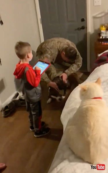 海外派遣から帰ってきた飼い主と再会したワンコ