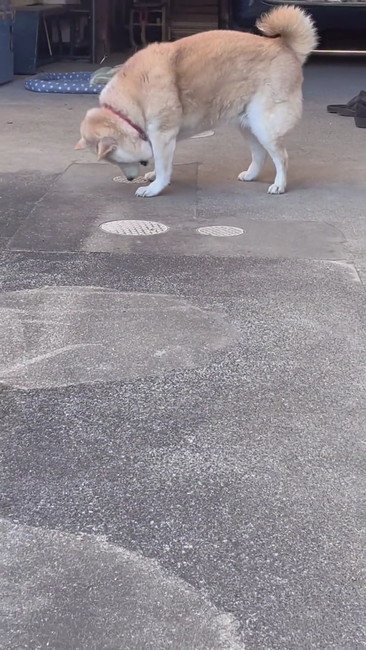 それマンホール