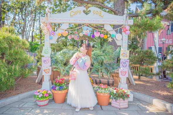 ケープコッドの写真 