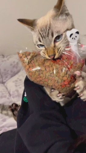 「絶対に離さない強い意志」