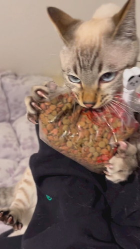 後ろ足にも力が入る