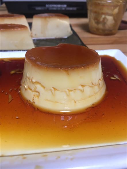 プリン 検証 実験