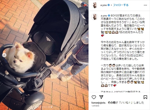 浜崎あゆみの息子たち