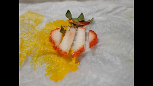 粘菌にイチゴを与えたところ