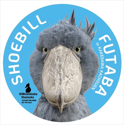 写真集『ハシビロコウのふたば』