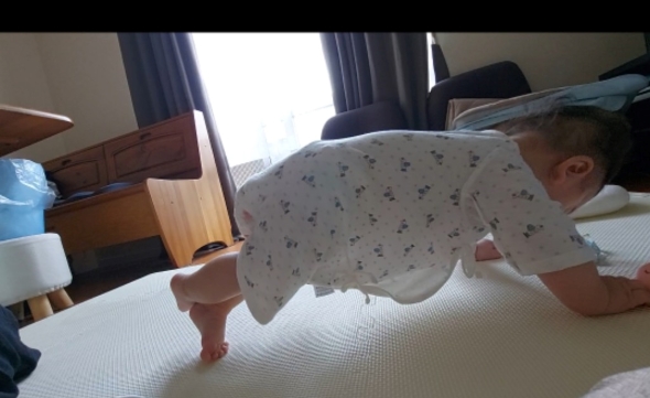 筋トレのような姿勢をとる生後5か月の赤ちゃんの画像