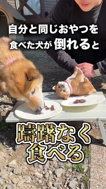 食べる