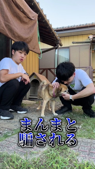 イケメンが好き