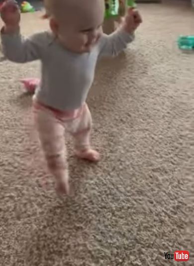 猫を触ってみたい赤ちゃん