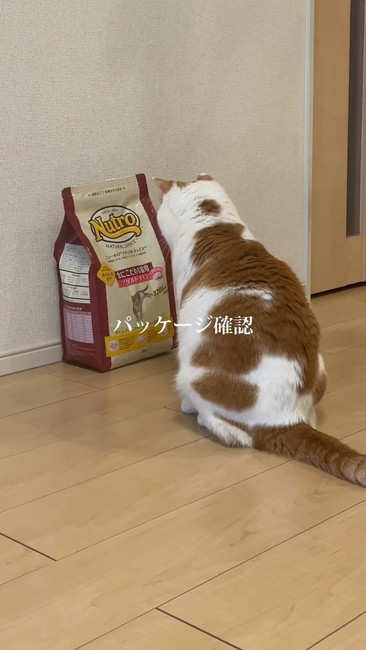 パッケージ確認