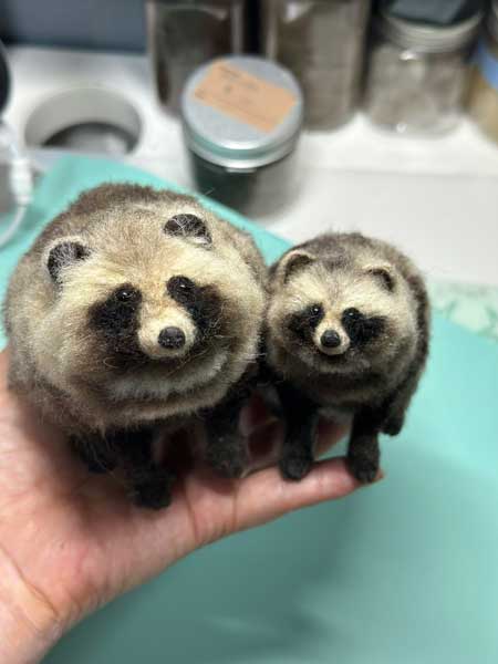 羊毛フェルト リアル タヌキ 動物 人形 作品