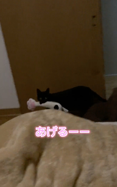 赤ちゃんの夜泣きに駆け付ける猫