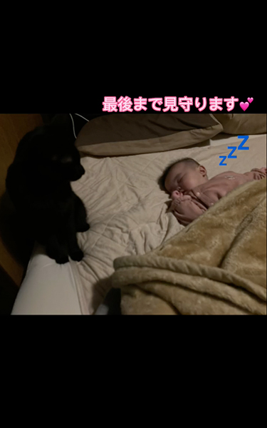 赤ちゃんの夜泣きに駆け付ける猫