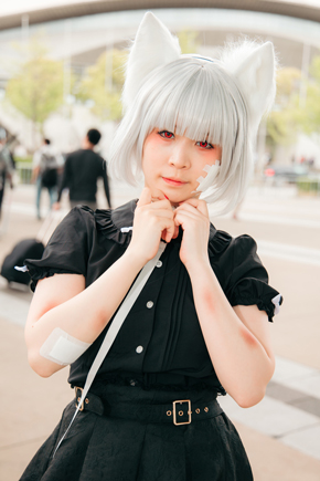 空良檸檬の「VOCALOID」キャットラビング