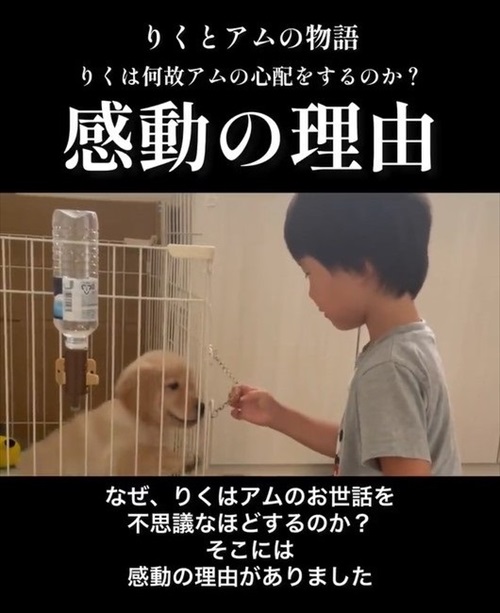 息子が愛犬の面倒をみる理由