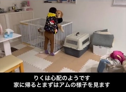 息子が愛犬の面倒をみる理由