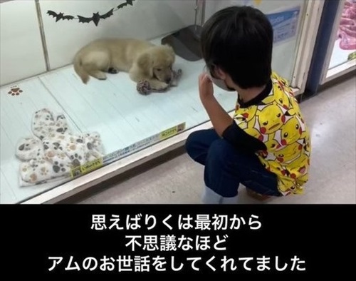 息子が愛犬の面倒をみる理由