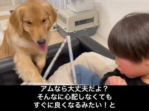 息子が愛犬の面倒をみる理由