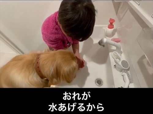 息子が愛犬の面倒をみる理由