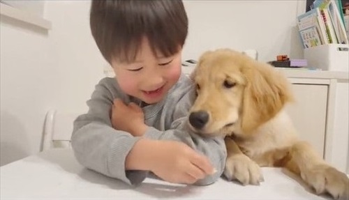 息子が愛犬の面倒をみる理由