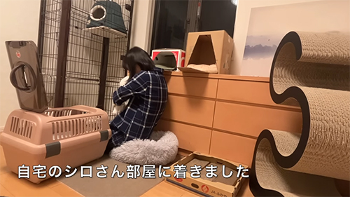 シロさん部屋