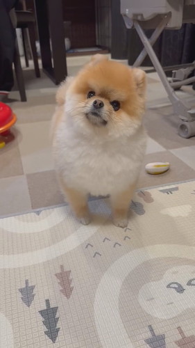 ミサイルちゃん