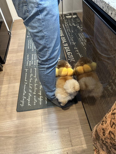 ミサイルちゃん