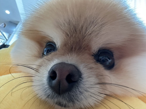 ミサイルちゃん