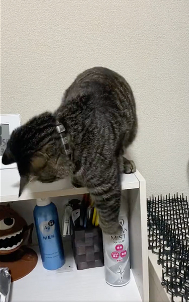 物は落としがち