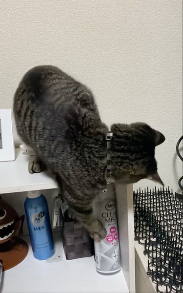 物は落としがち