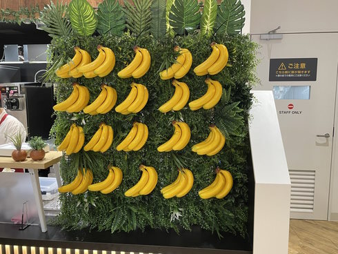 ドンキーコングのボーナスステージ